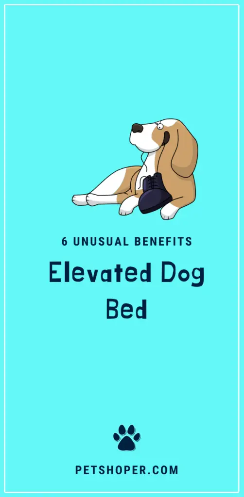 Elevated Dog Bed pin
