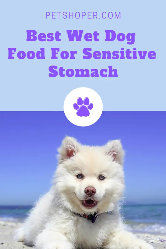 Best Wet Dog Food For Sensitive Stomach [Top 4 Reviews]