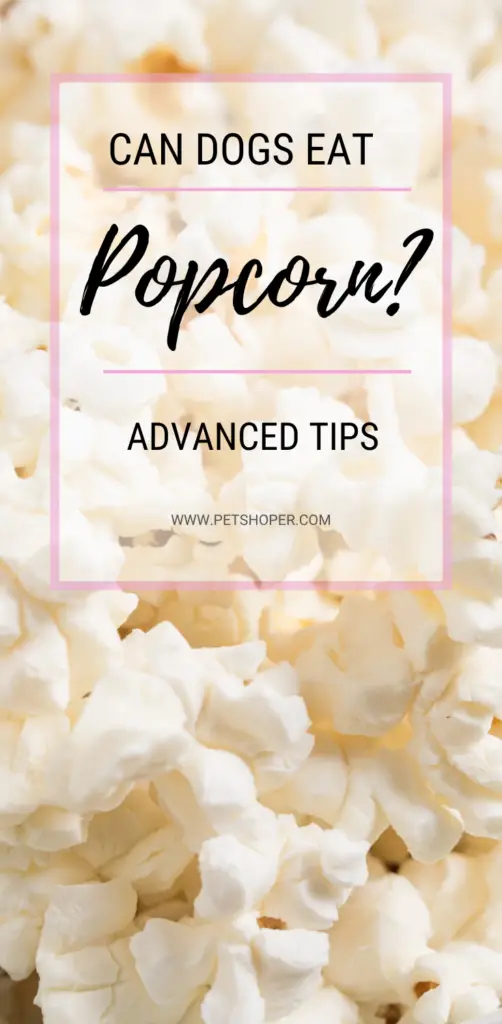 can dogs eat popcorn pin