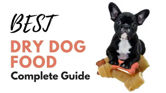 best-dry-dog-food