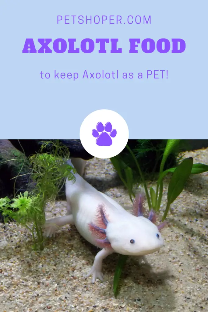 AXOLOTL FOOD