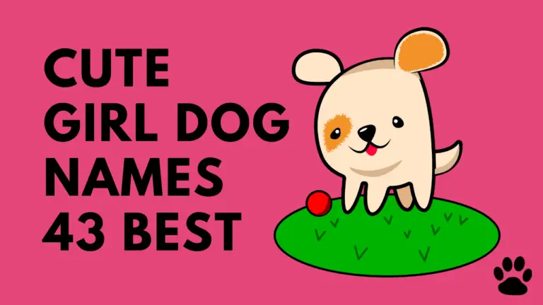 top 10 cute dog names for a girl