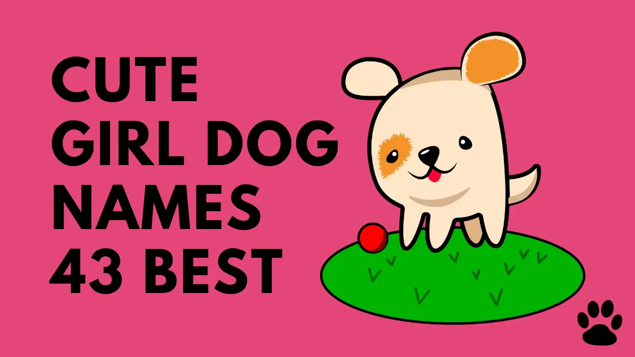 Cute girl dog names