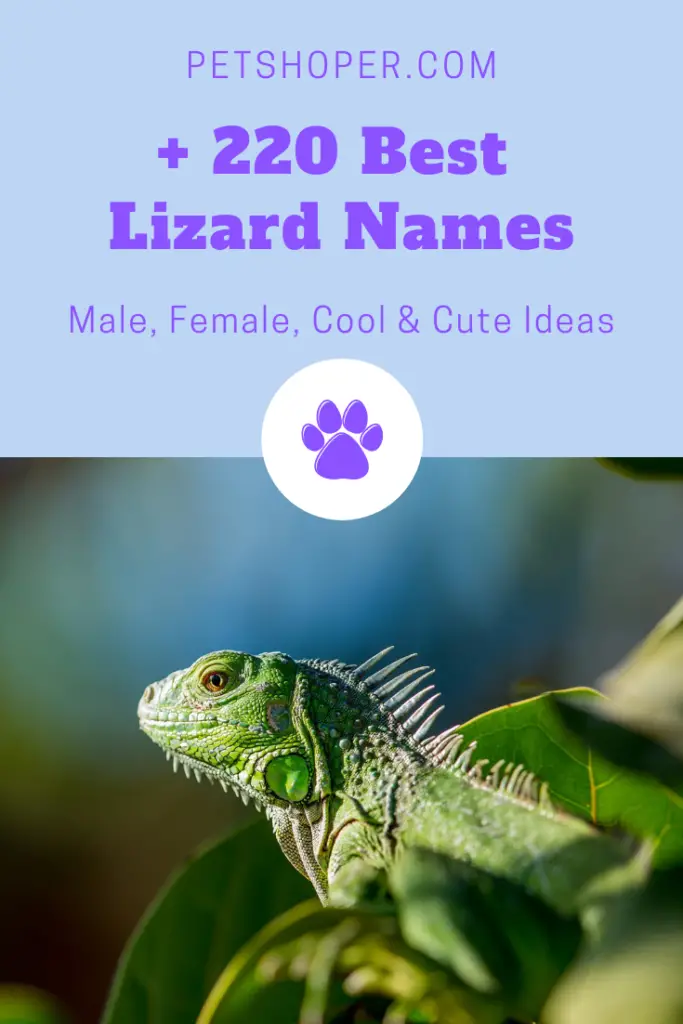 Lizard Names Pin