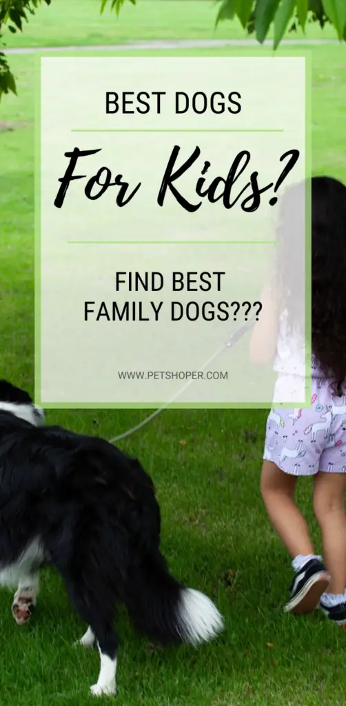 Best Dogs For Kids pin