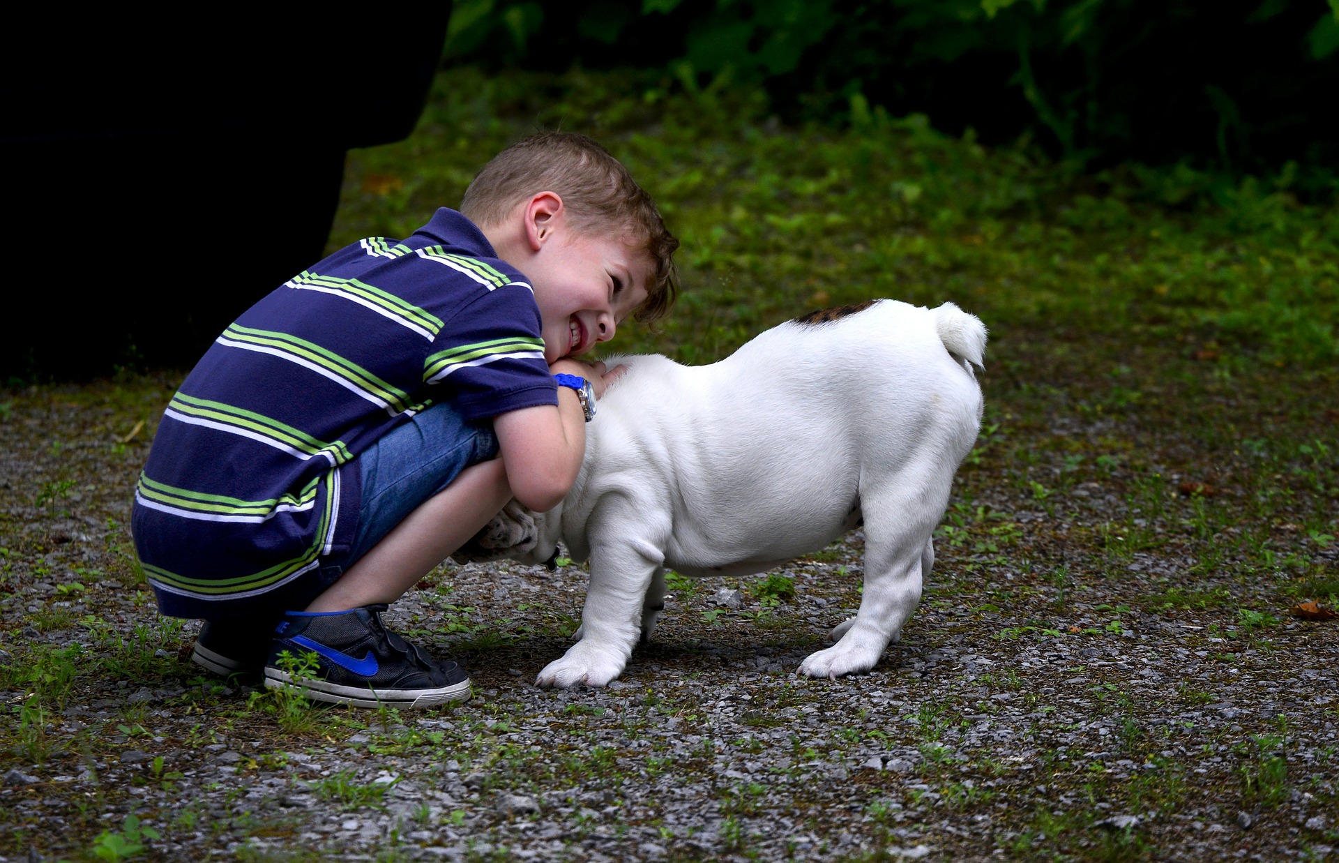 Best Dogs For Kids
