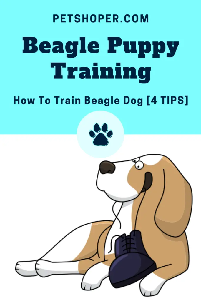 Beagle Puppy Training pin