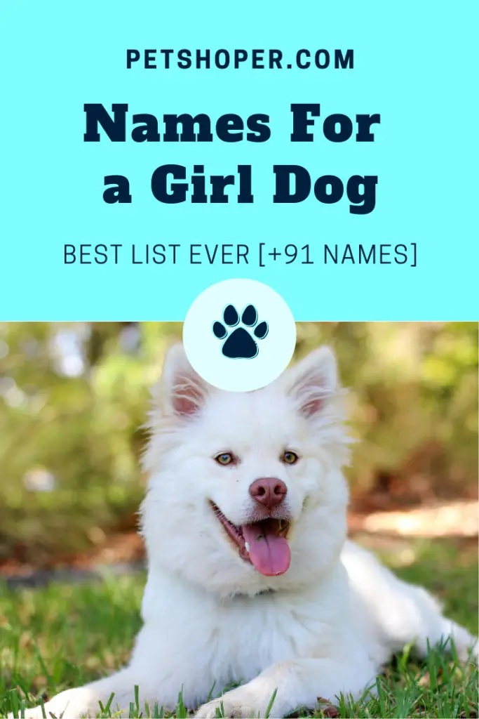 names for a girl dog pin