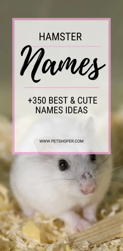Hamster Names pin