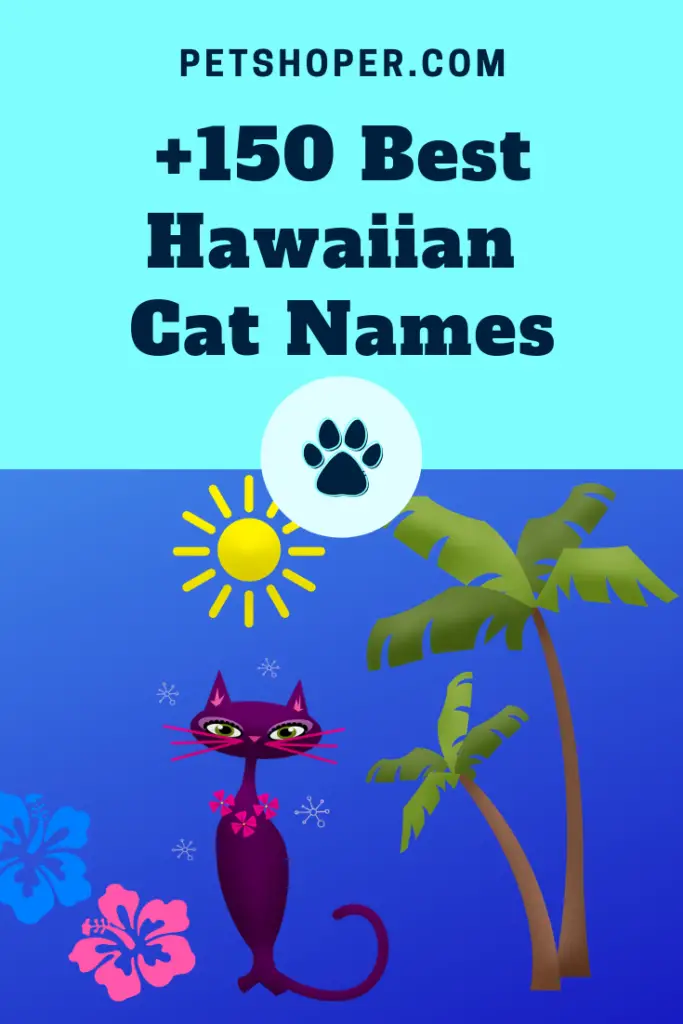 Hawaiian Cat Names pin