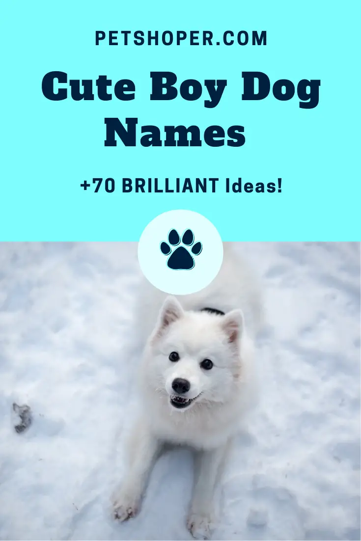 Cute Boy Dog Names Pin 