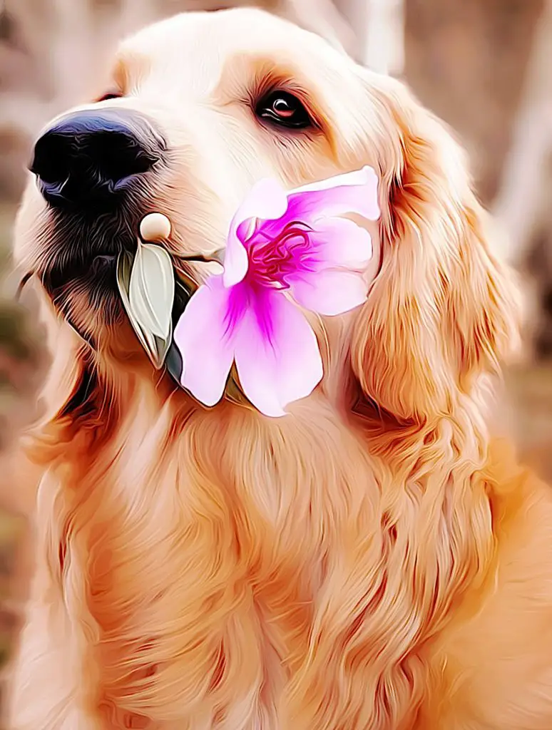 Flower Dog Names Female