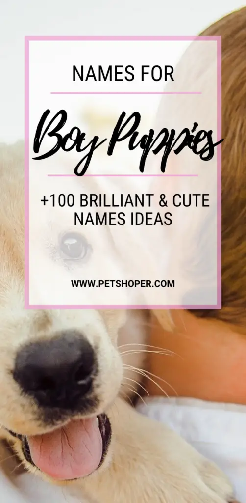 Names For Boy Puppies pin