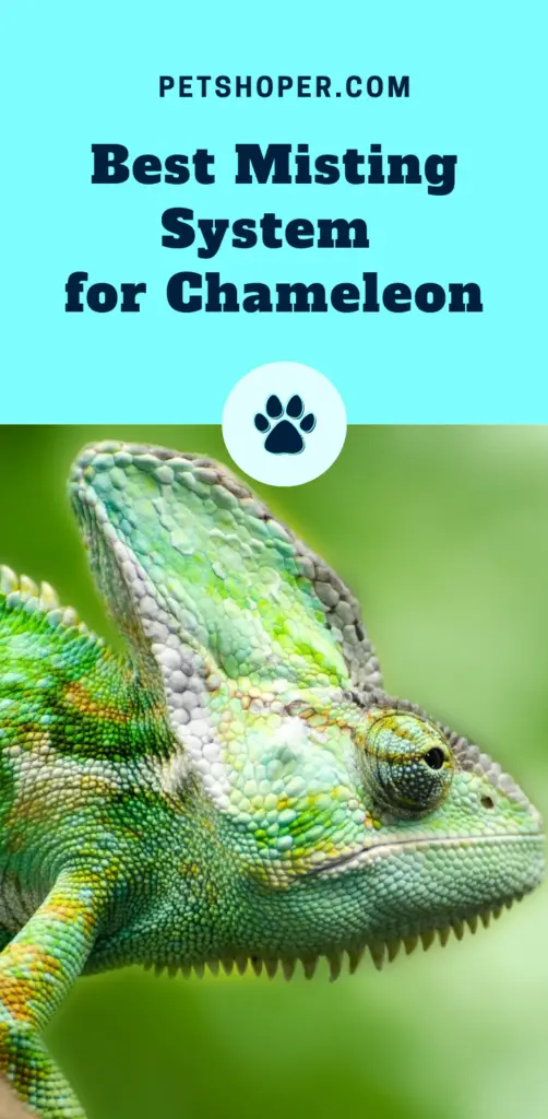 Best Misting System for Chameleon pin