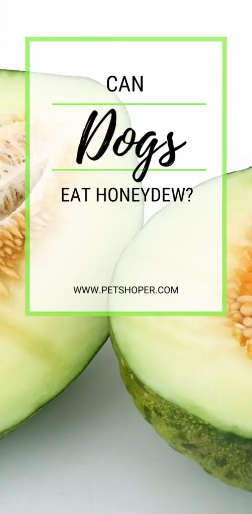 Can Dogs Eat Honeydew pin