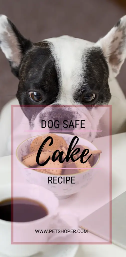 Dog Safe Cake Recipe pin