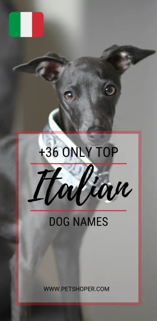 italian dog names pin