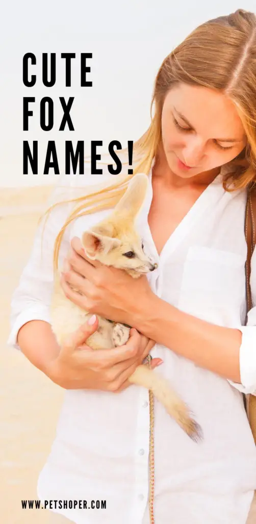 Fox Names 100+ Cute & Unique Names [Male & Female] - PetShoper