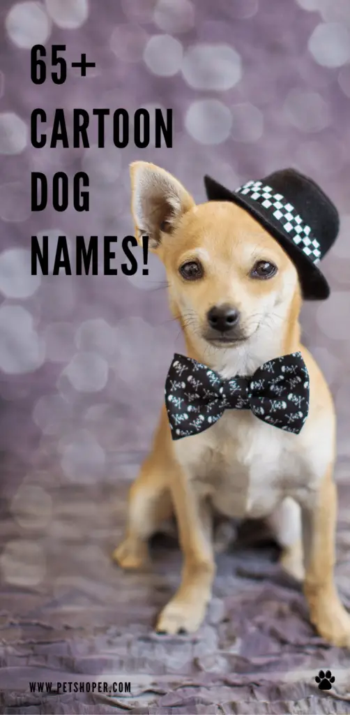 Cartoon Dog Names pin