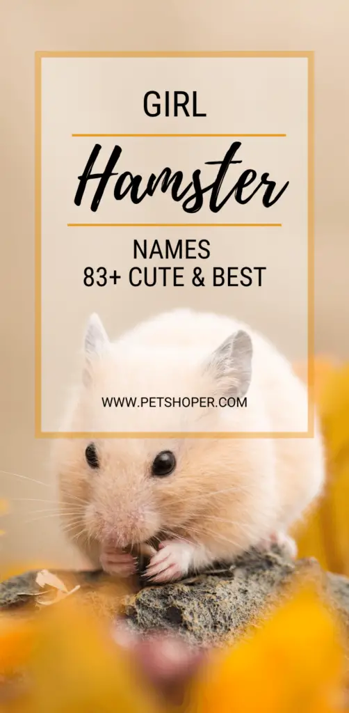 Girl Hamster Names pin