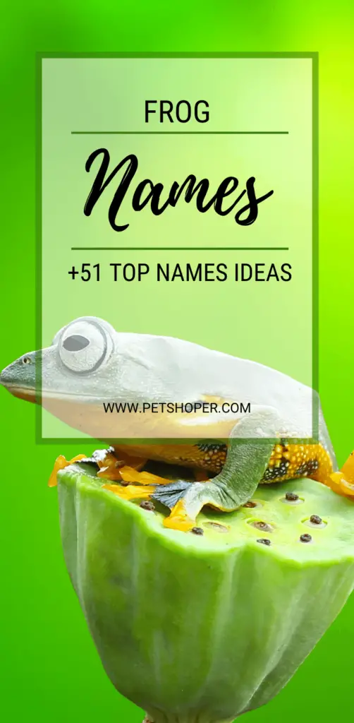 frog names pin