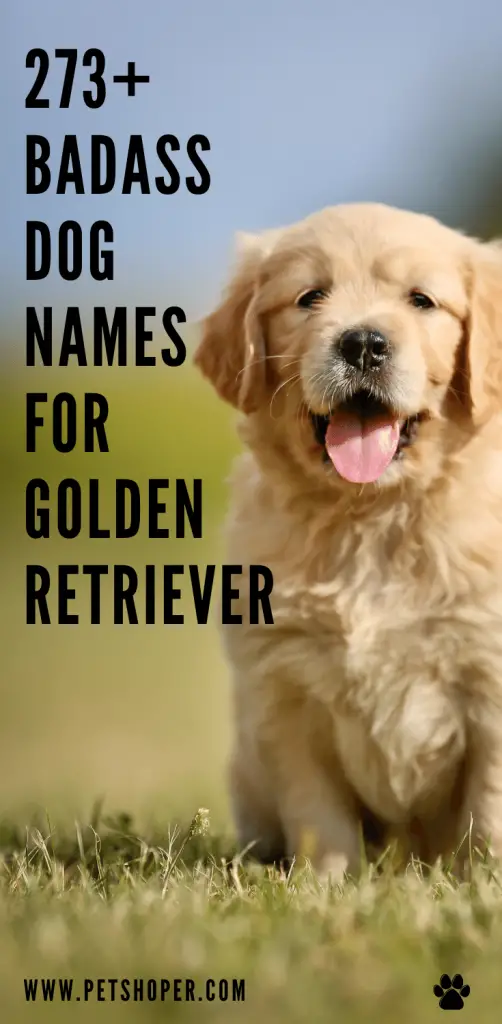 Badass Dog Names For Golden Retriever pin