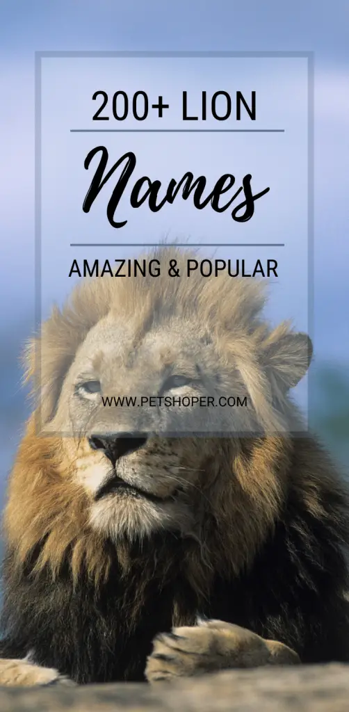 Lion Names Pin