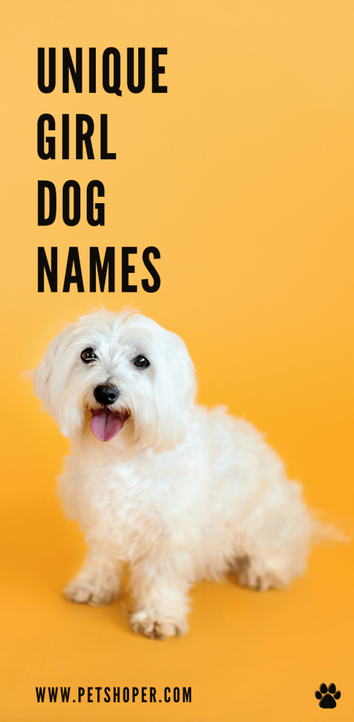 Unique Girl Dog Names pin