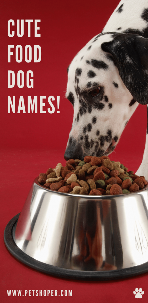 Cute Food Dog Names Female pin