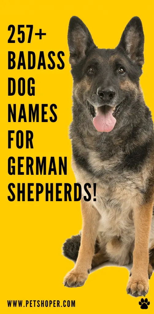 Badass Dog Names For German Shepherds pin