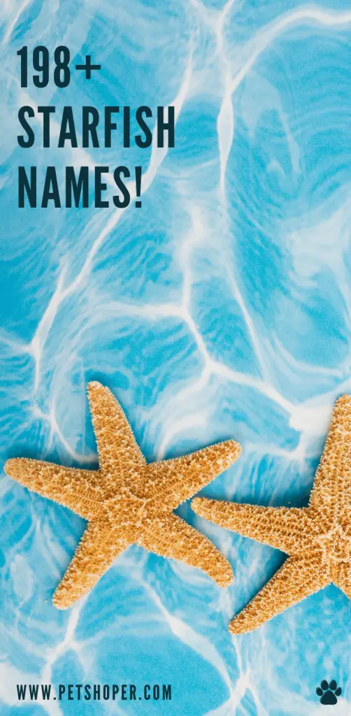 Starfish names pin