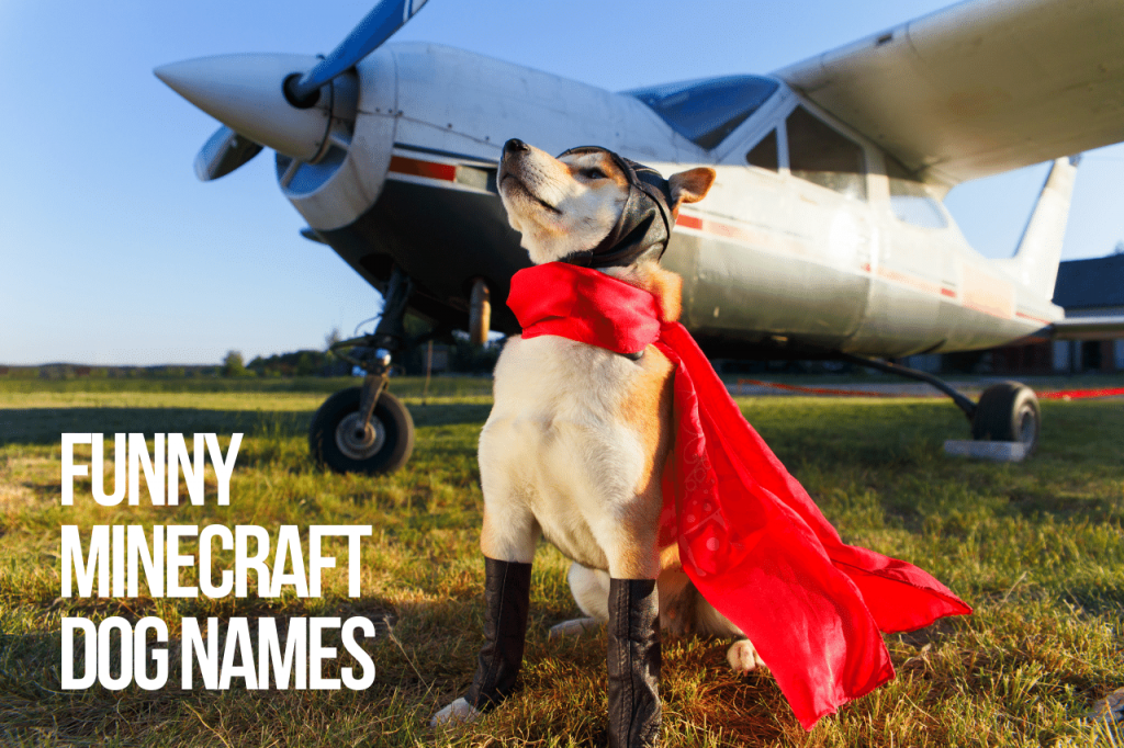 Funny Minecraft dog names