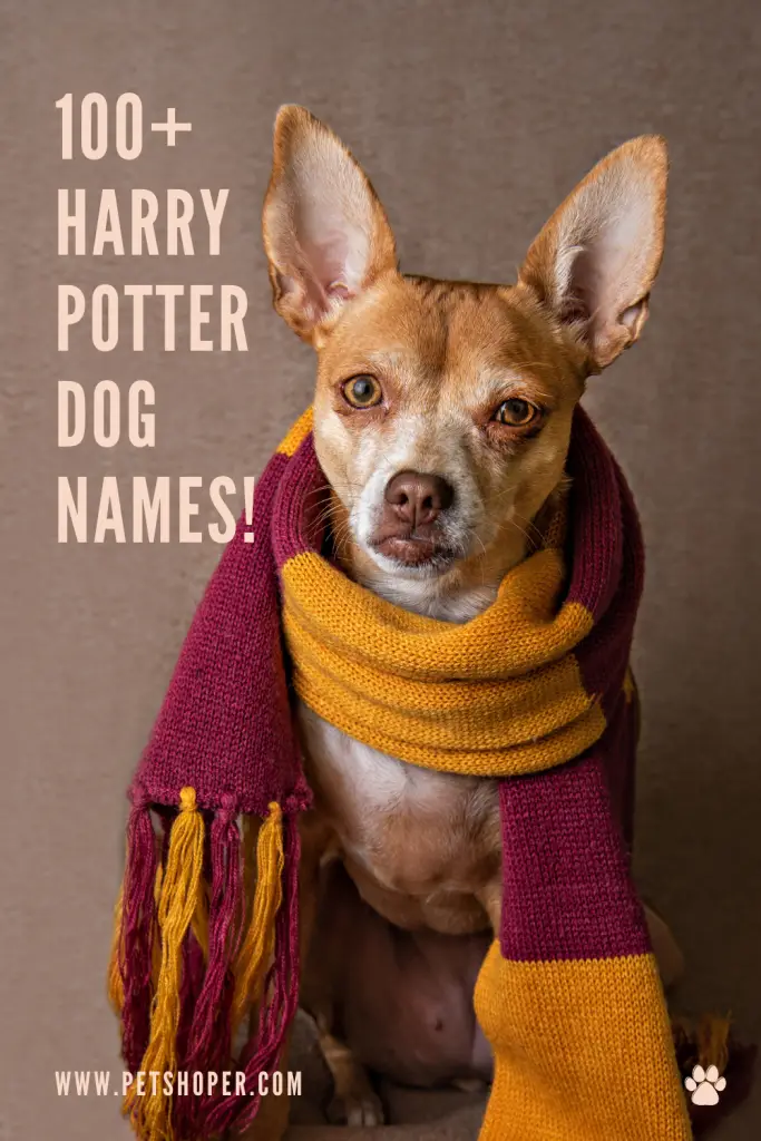 Harry Potter Dog Names pin