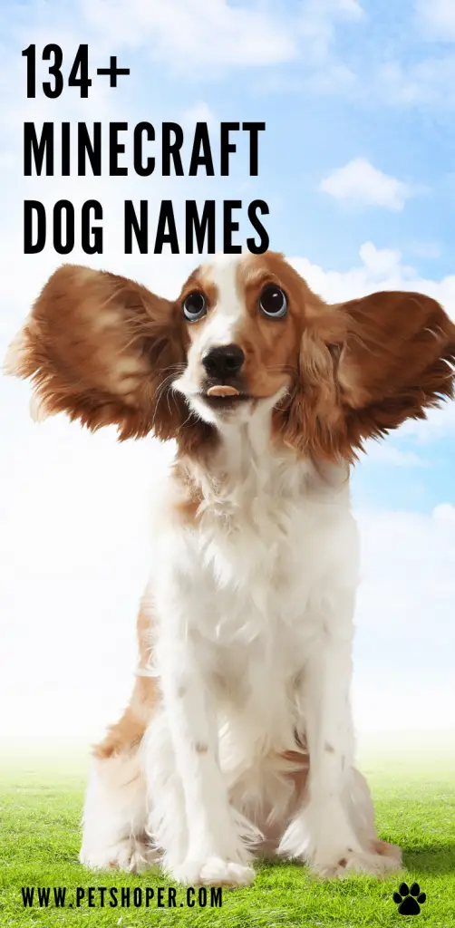 Minecraft Dog Names pin