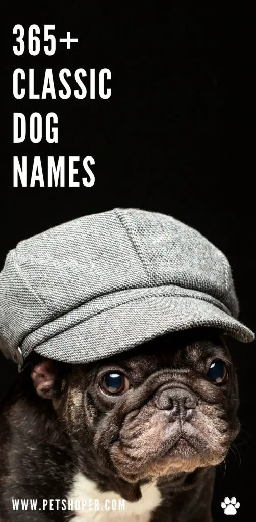 Classic Dog Names pin