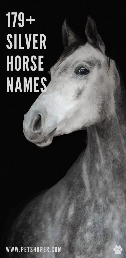 Silver Horse Names pin