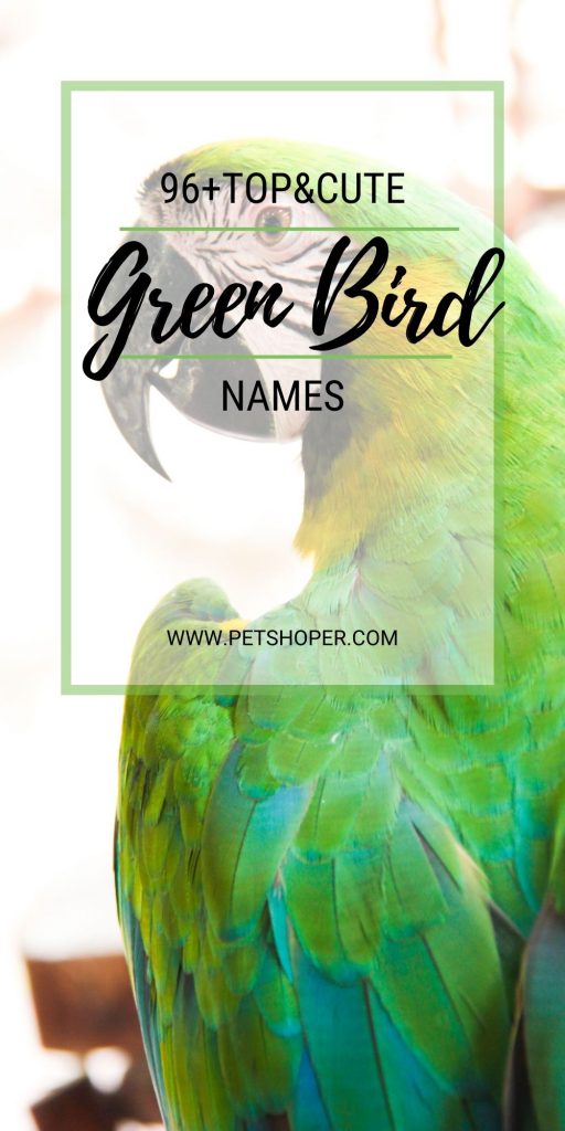 Green Bird Names pin